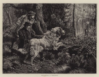 اصطياد صياد بواسطة باسل برادلي